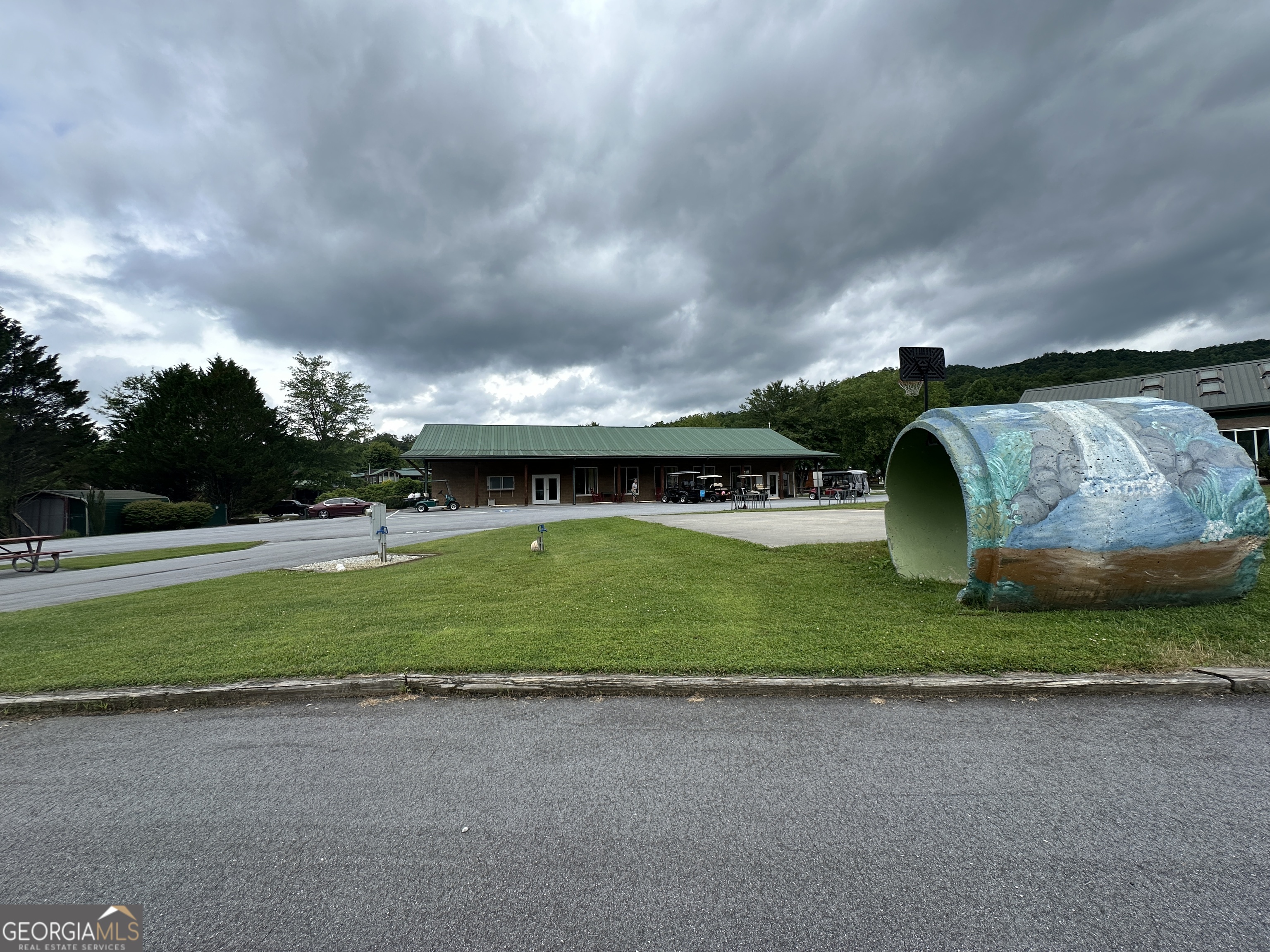 41 Monaco Lane Dillard, GA 30537 - Photo 14 of 16 a view of outdoor space yard and entertaining space