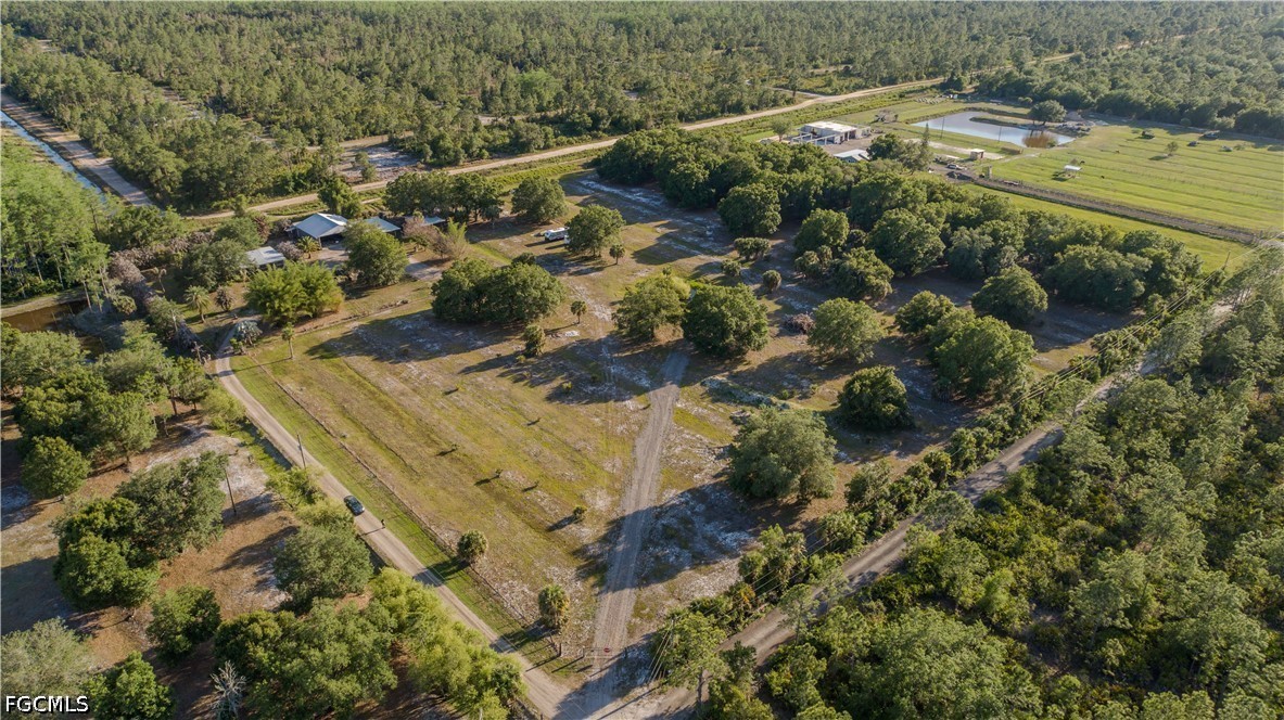 3880 Packinghouse Road Alva, FL 33920 - Photo 2 of 29 a view of a houses with a lush green forest