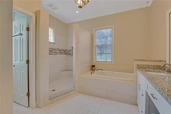 a bathroom with a granite countertop bathtub shower sink and mirror