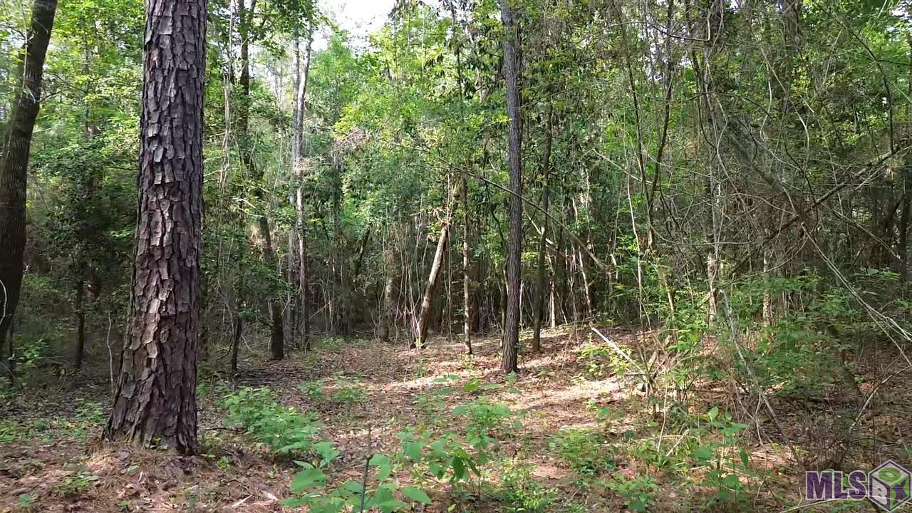 83166 Isabel Swamp Road Bush, LA 70431 - Photo 18 of 20