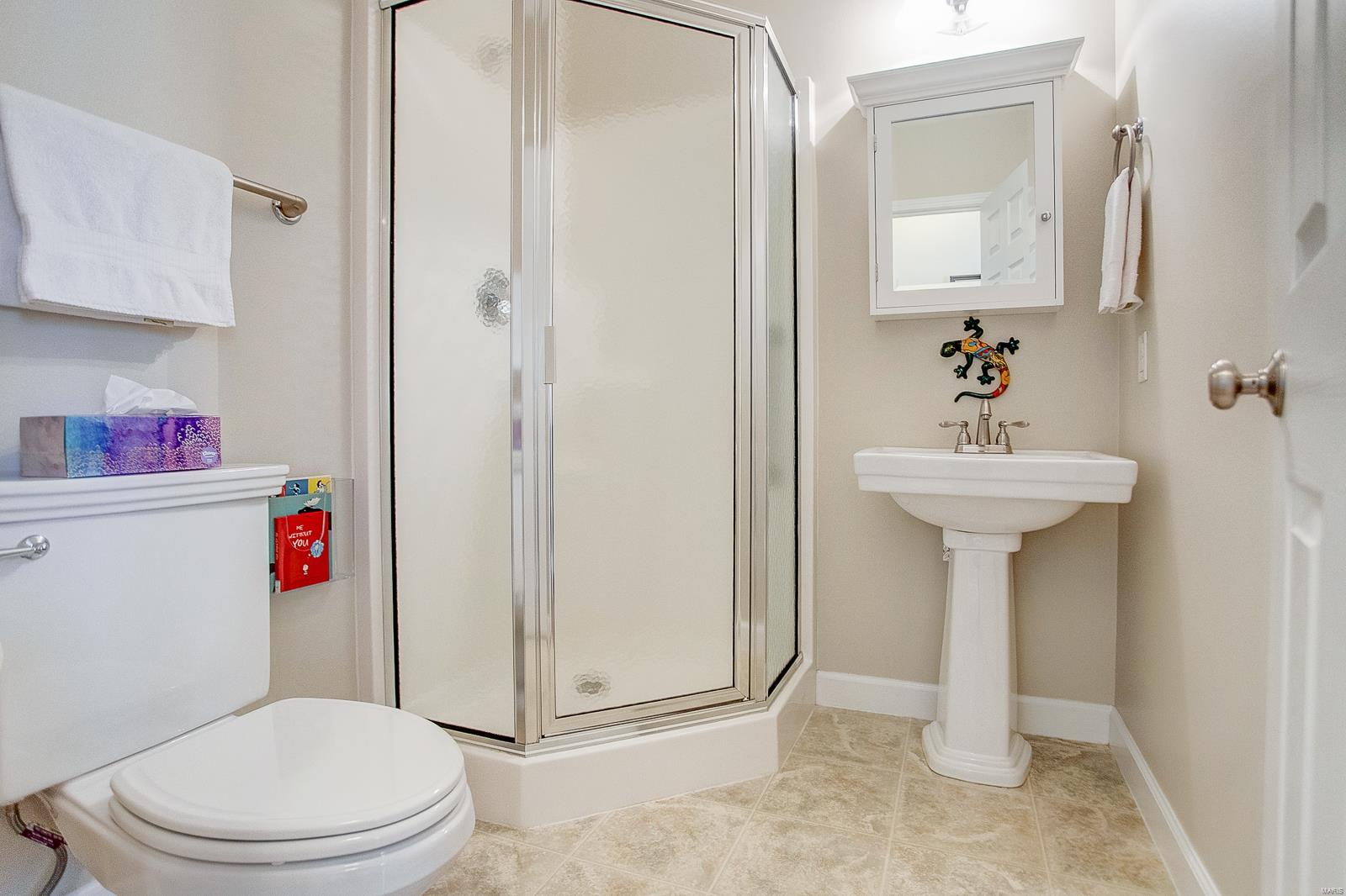 9 Meadow Rue Drive Edwardsville, IL 62025 - Photo 20 of 48 Gallery Image 20