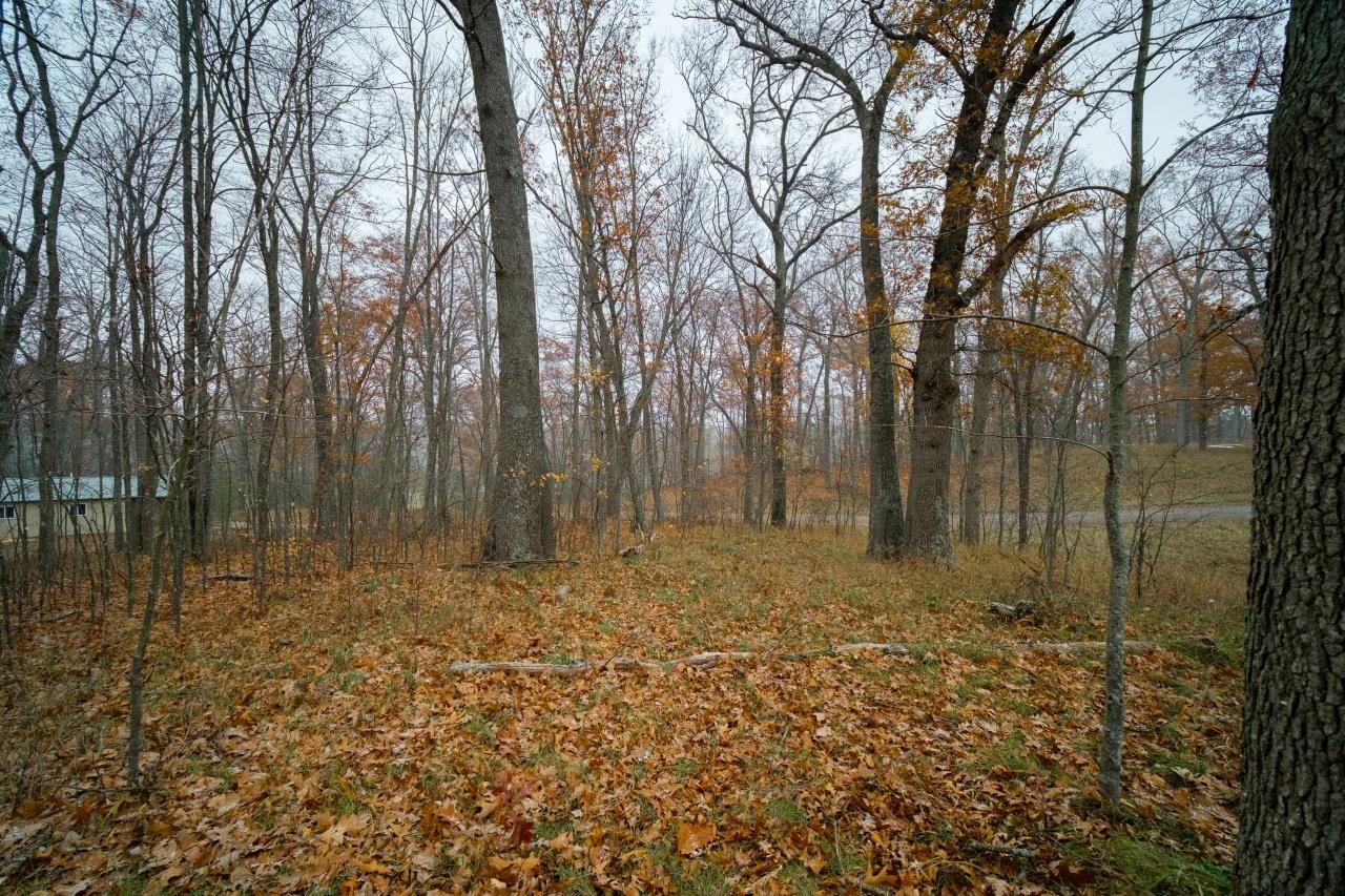 11 Hunters Ridge Drive Irons, MI 49644 - Photo 21 of 38 1895563-20.JPG