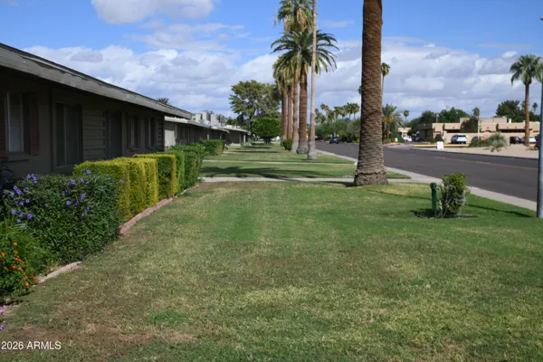 a garden with trees in front of it