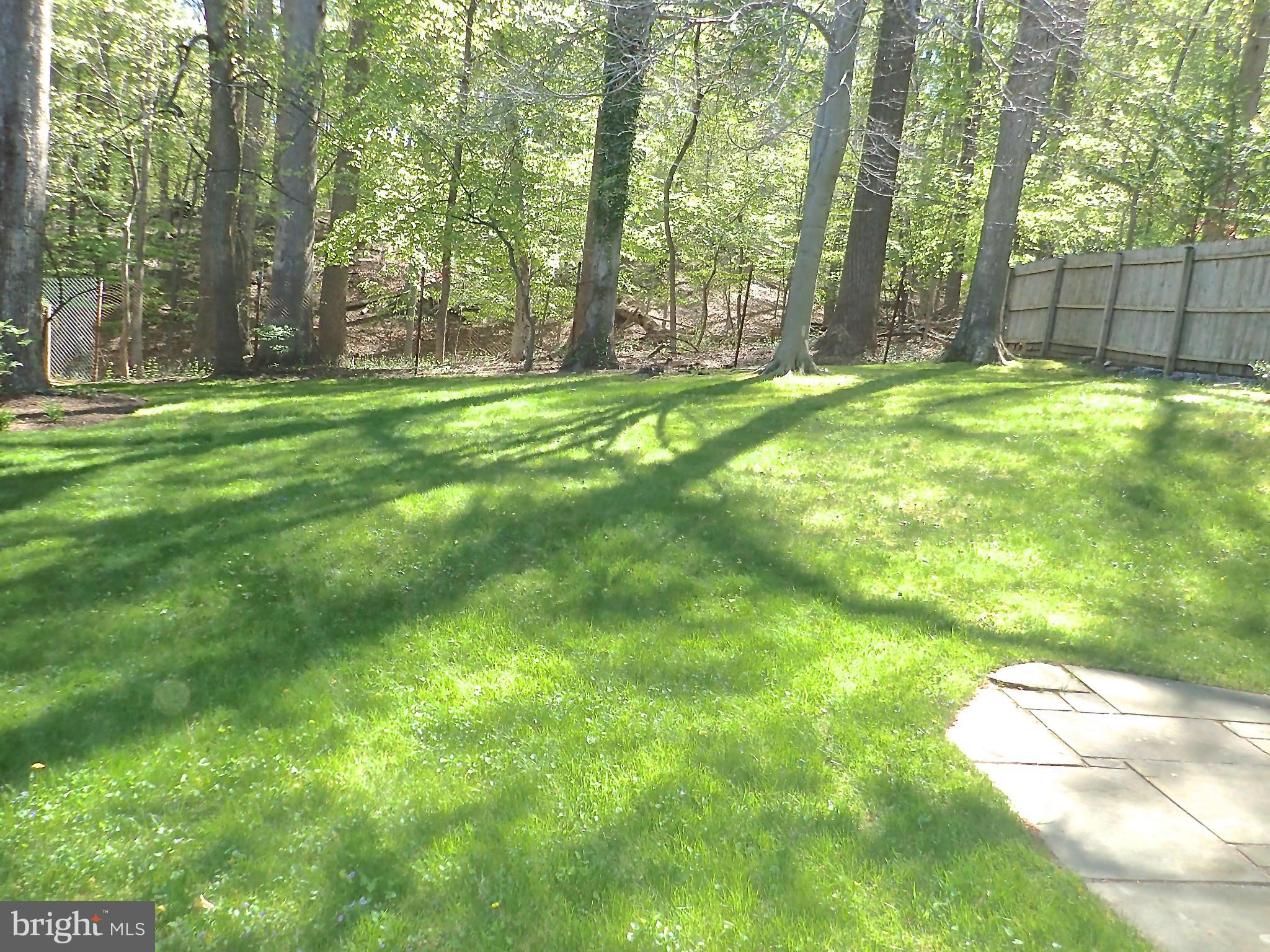 5123 Linnean Avenue Northwest Washington, DC 20008 - Photo 21 of 29 View from back porch, glorious!