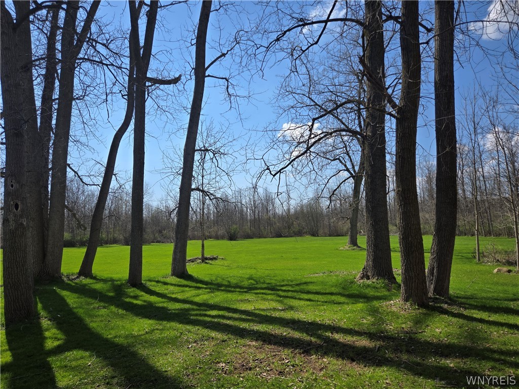 8984 Lovers Lane Road Pembroke, NY 14036 - Photo 43 of 50