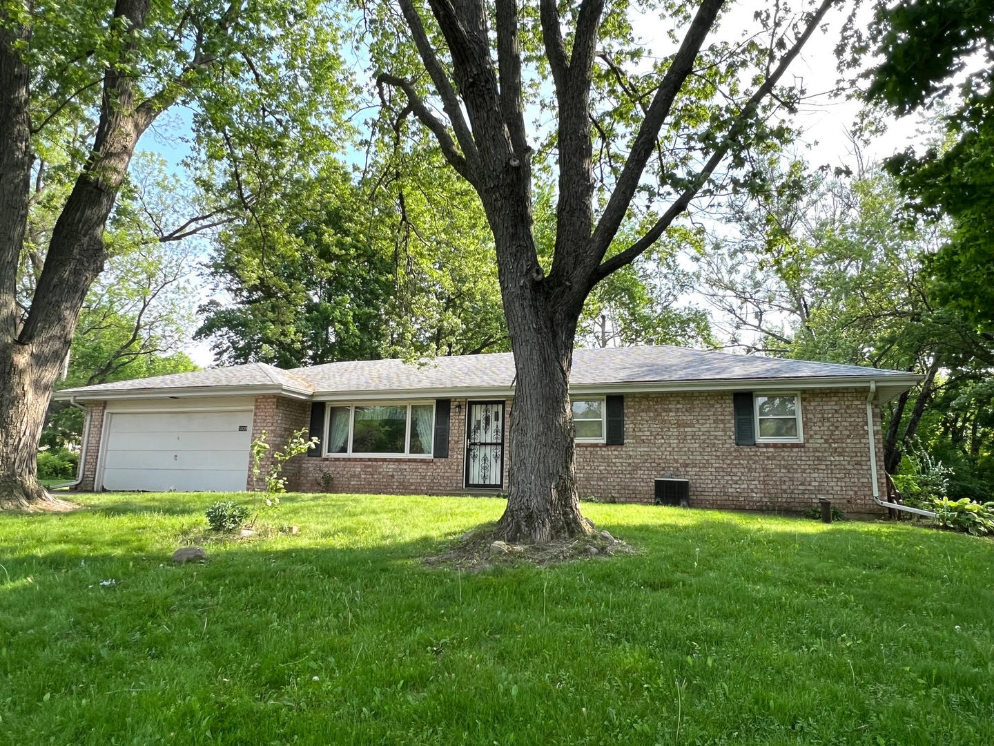 a view of house with a yard