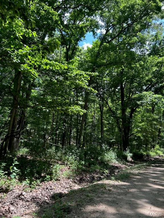 0 Hargrove Road St. Robert, MO 65584 - Photo 3 of 9