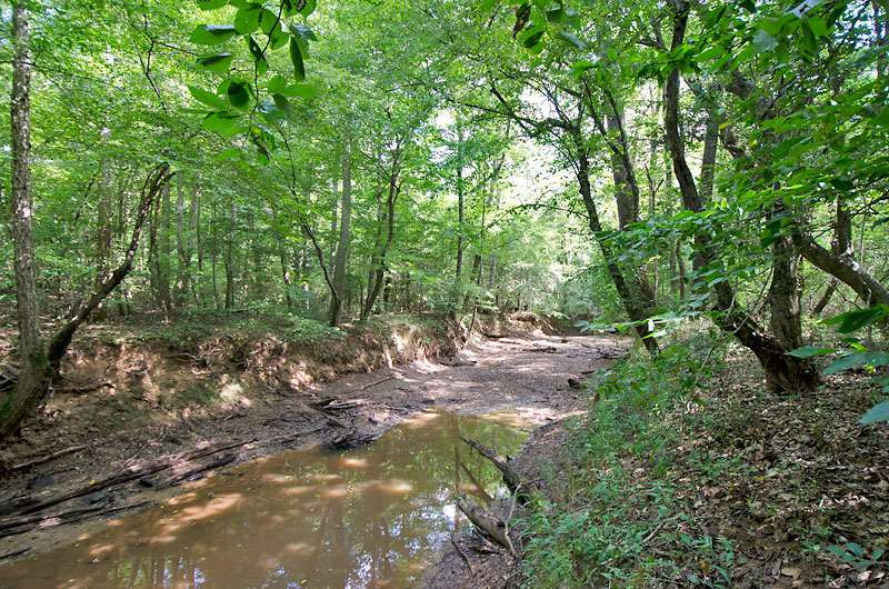 Old Glendon Road Carthage, NC 28327 - Photo 6 of 10 Photo 6