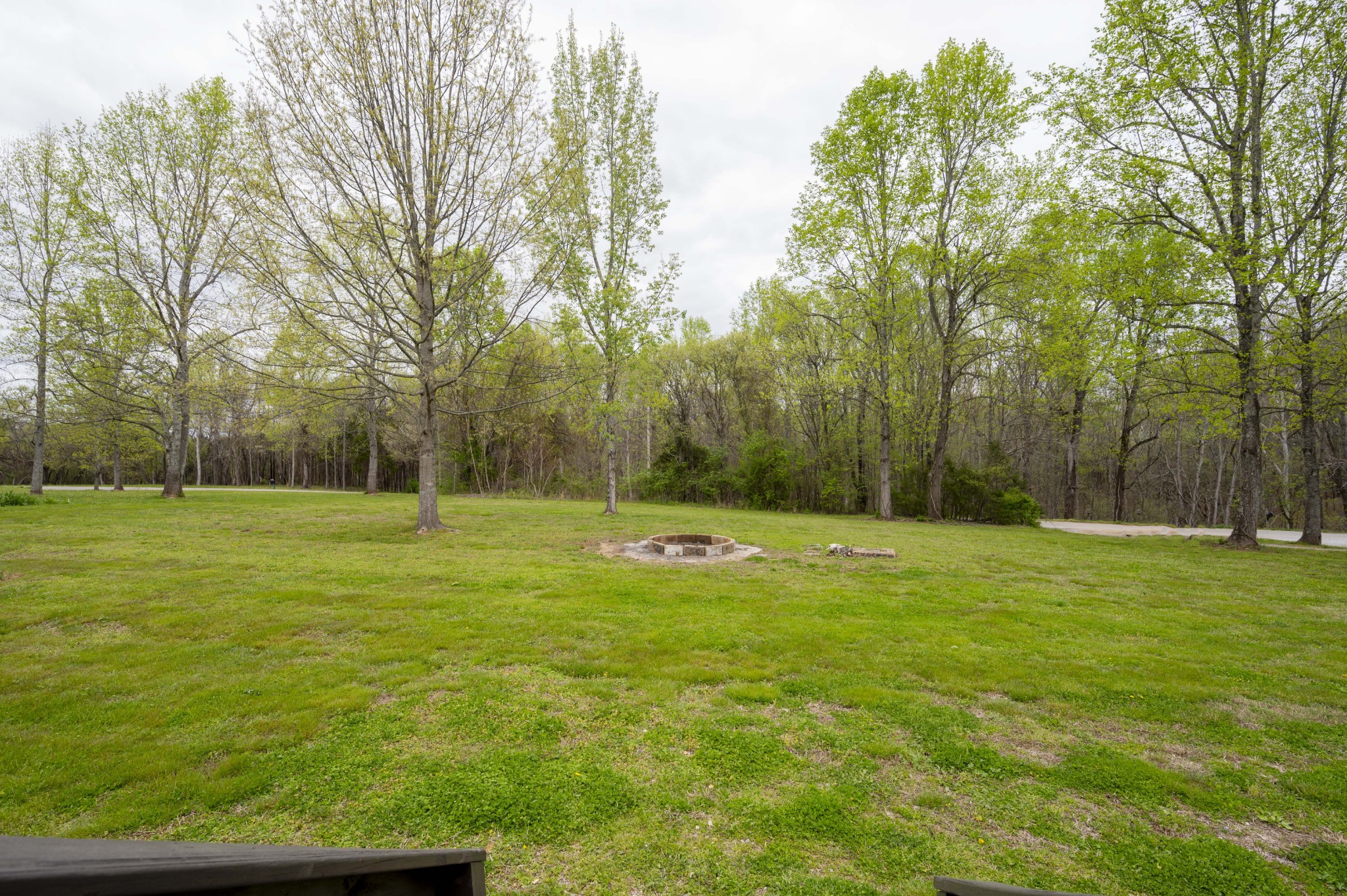 1822 Groveland Ridge Road Columbia, TN 38401 - Photo 3 of 48 a view of a park with large trees