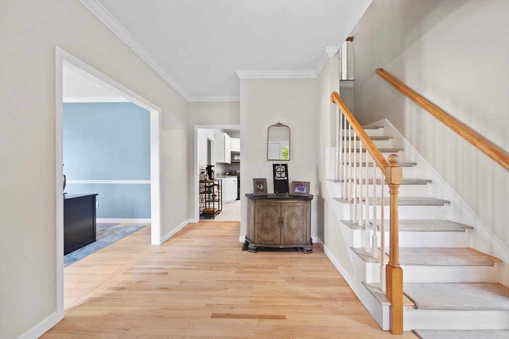 317 Finch Road Raynham, MA 02767 - Photo 3 of 32 Gallery Image 3