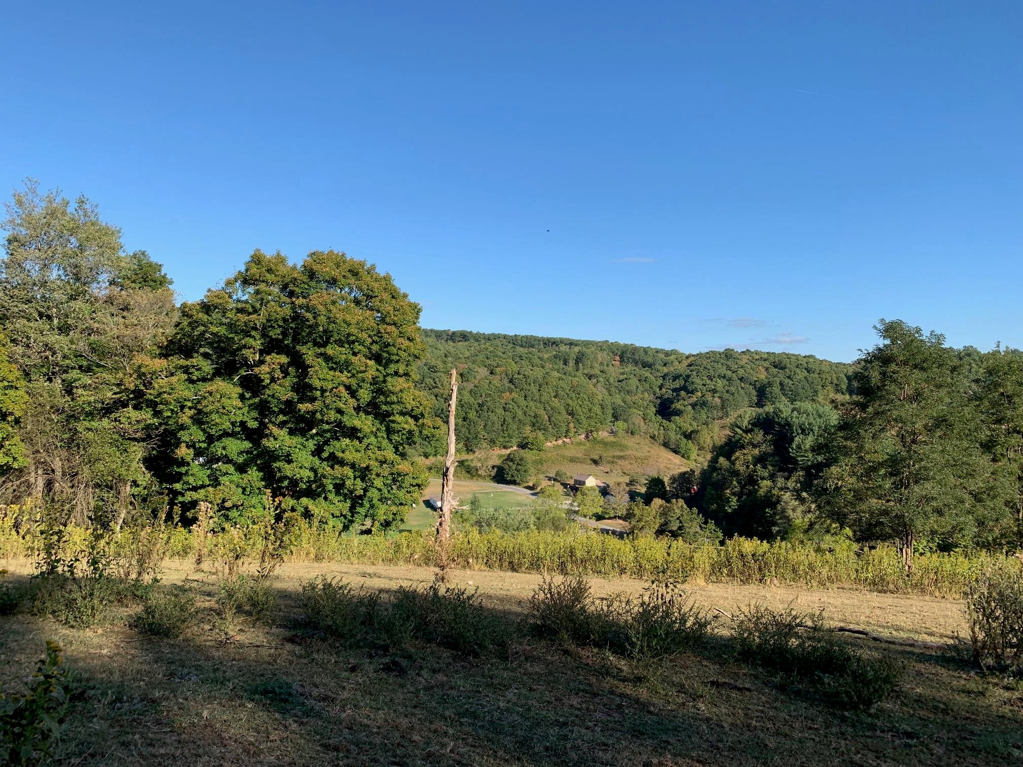 4950 Second Creek Road Sinks Grove, WV 24976 - Photo 21 of 36 Gallery Image 21