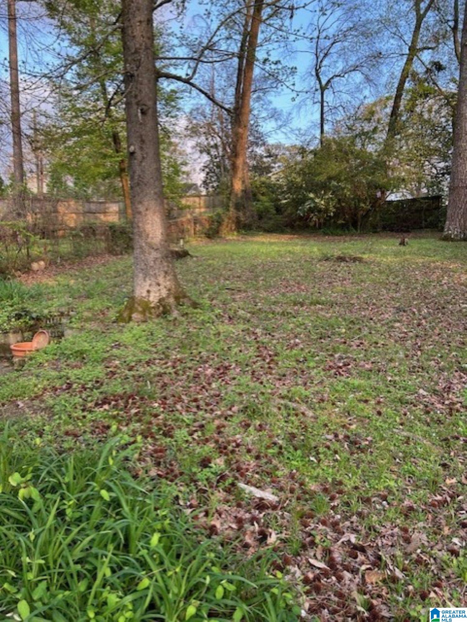 4025 Montclair Road Birmingham, AL 35213 - Photo 10 of 11