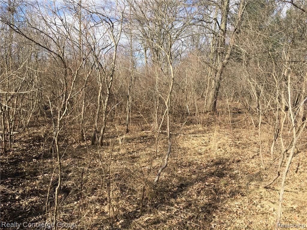 2 Sutton - Dryden, MI 48428 - Photo 7 of 18