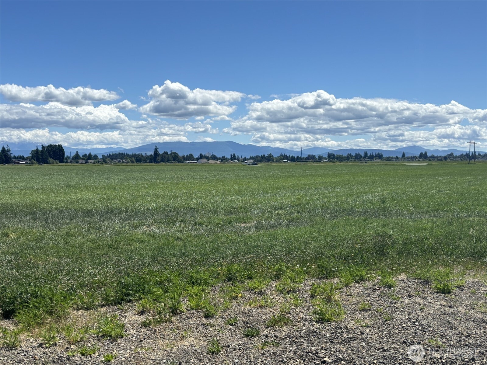 8976 Double Ditch Road Lynden, WA 98264 - Photo 5 of 8