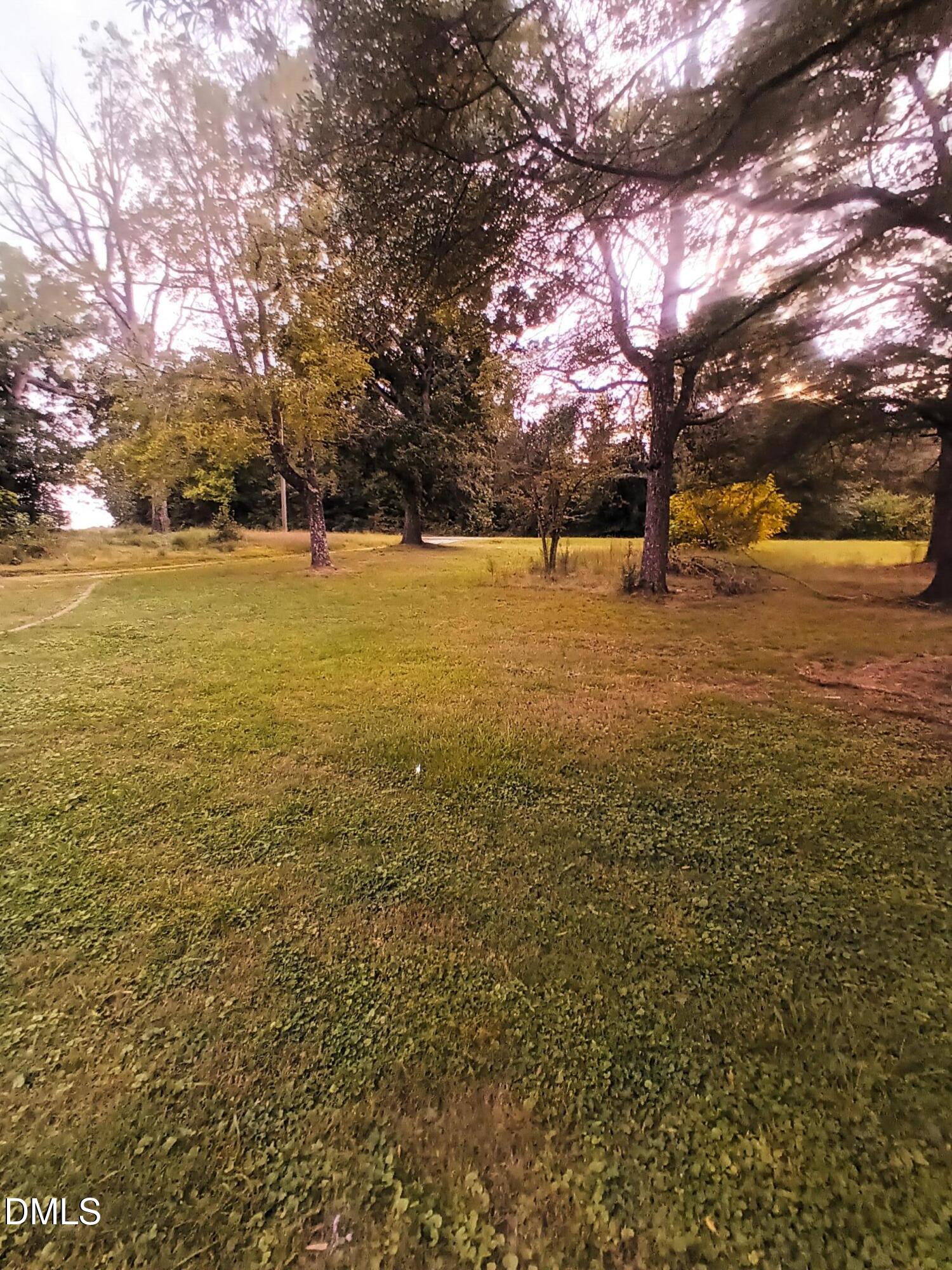 7856 Boston Road Roxboro, NC 27574 - Photo 13 of 18 a view of yard with trees