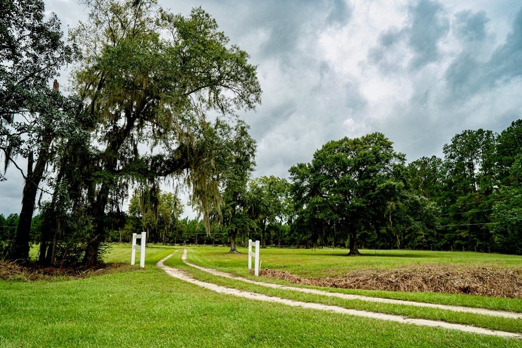 7312 Hall Webb Road Hahira, GA 31632 - Photo 4 of 35 Gallery Image 4