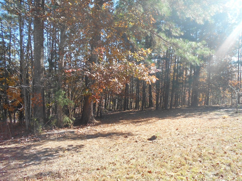 259 Kesterson Lane Victoria, VA 23974 - Photo 19 of 25 Gallery Image 19