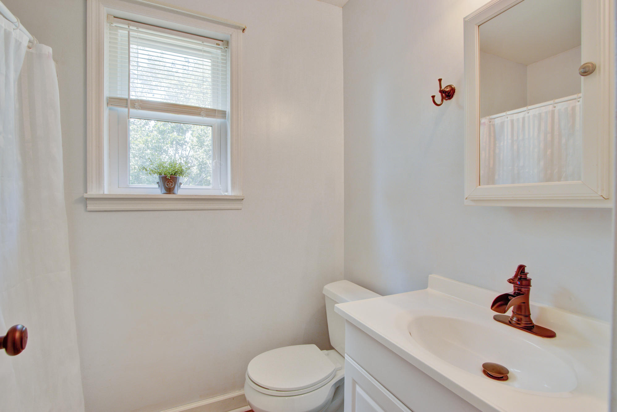1803 Ringneck Road Moncks Corner, SC 29461 - Photo 29 of 35 Topher 1803 (24)