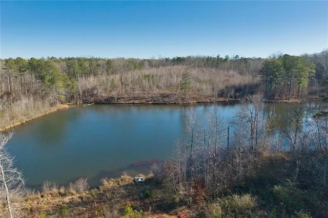 a view of a street with tall trees
