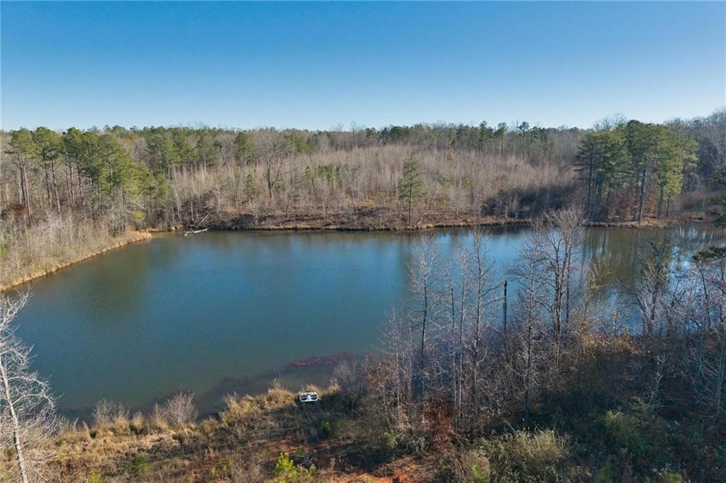 415 Tapley Road Villa Rica, GA 30180 - Photo 6 of 25 a view of lake