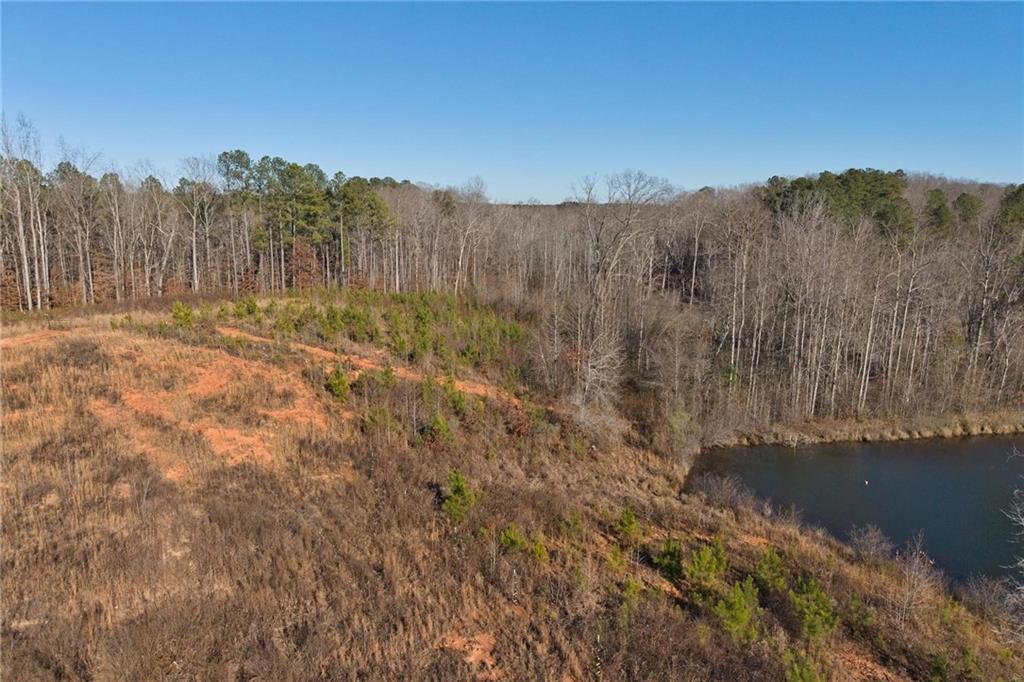 415 Tapley Road Villa Rica, GA 30180 - Photo 7 of 25 a view of a street with tall trees