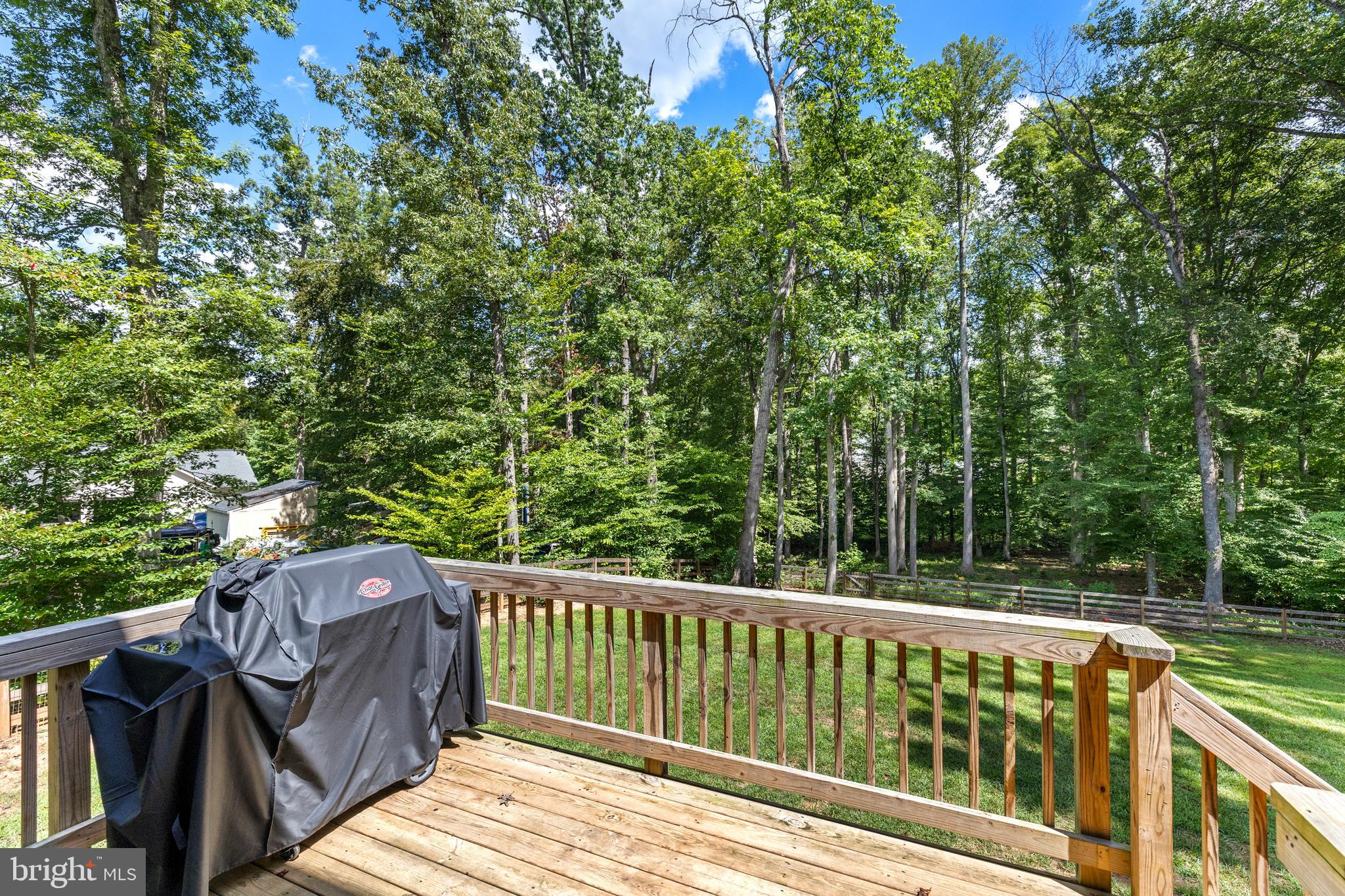 296 Robbie Road Bumpass, VA 23024 - Photo 25 of 51 Nicely Sized Deck