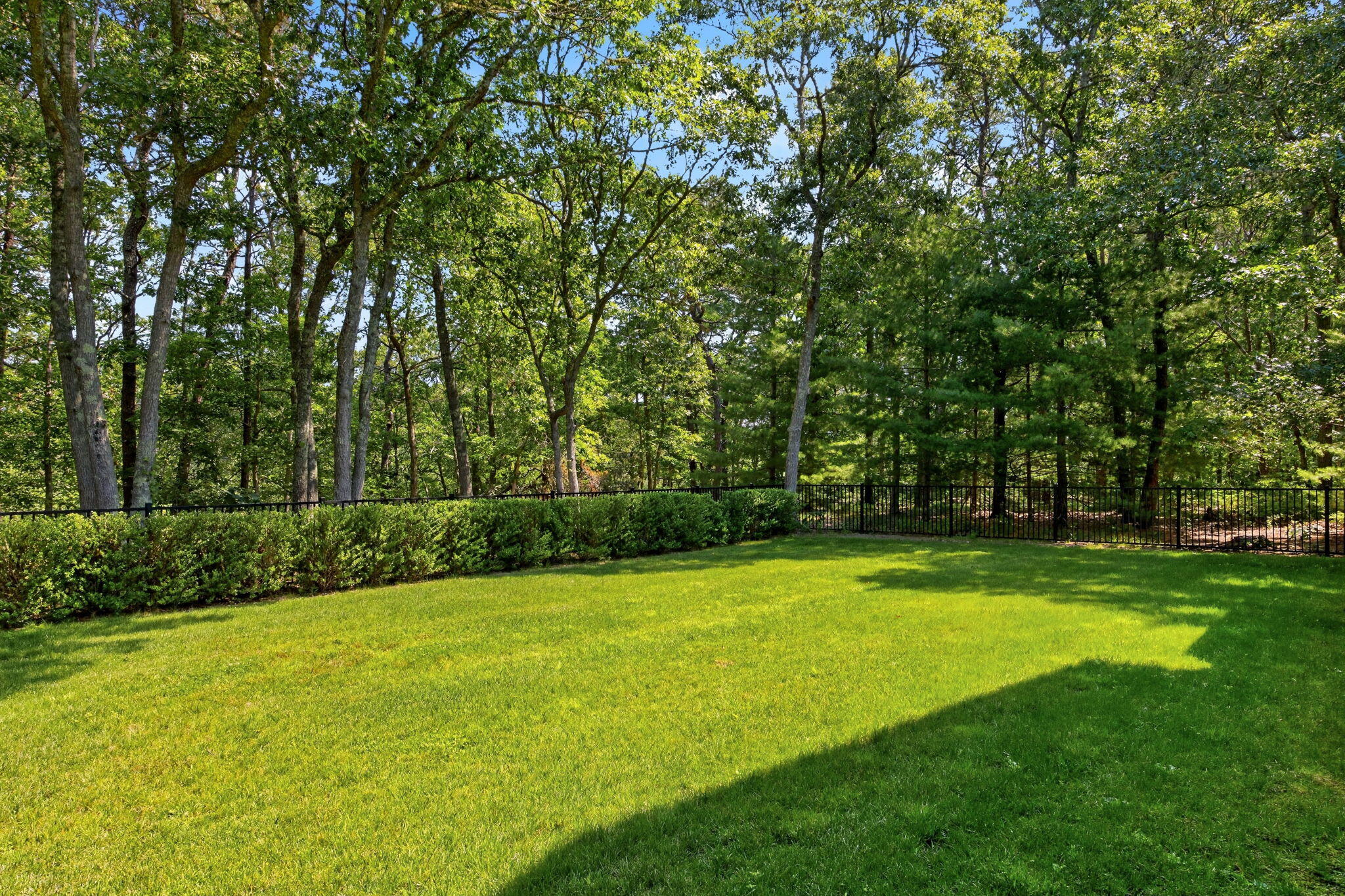 280 Ice Valley Road Osterville, MA 02655 - Photo 50 of 50 Back Yard