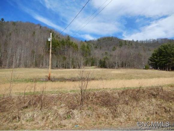 351 Long Branch Road Mars Hill, NC 28754 - Photo 2 of 6 a view of a backyard