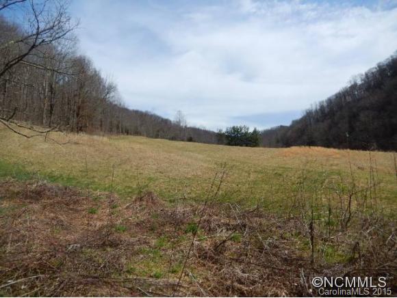 351 Long Branch Road Mars Hill, NC 28754 - Photo 5 of 6 a view of lake with mountain view
