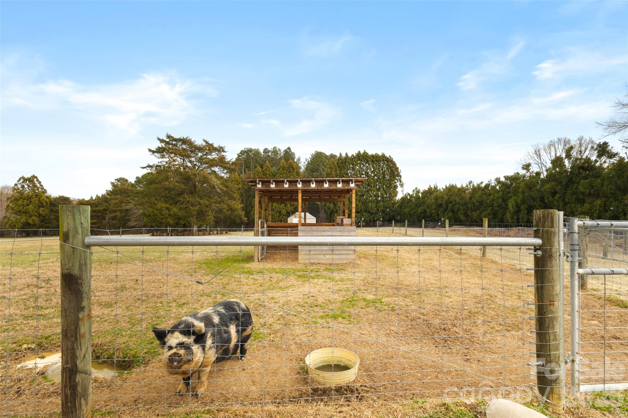 1131 Sikes Mill Road Monroe, NC 28110 - Photo 38 of 41