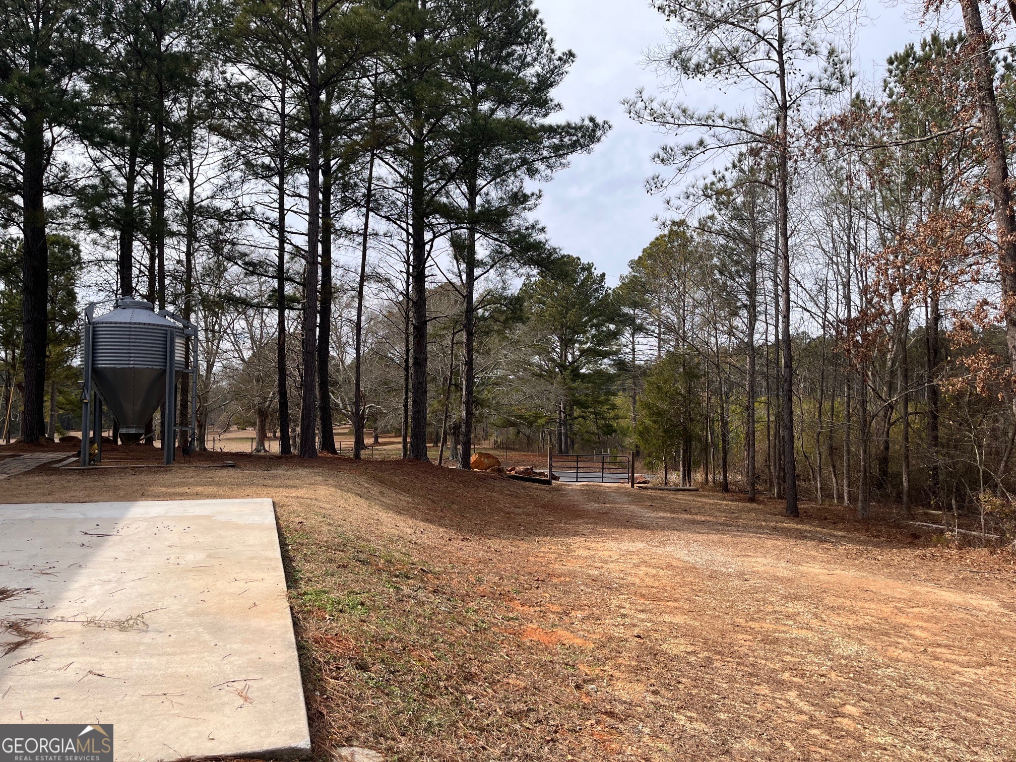 2706 Pea Ridge Road Franklin, GA 30217 - Photo 5 of 21