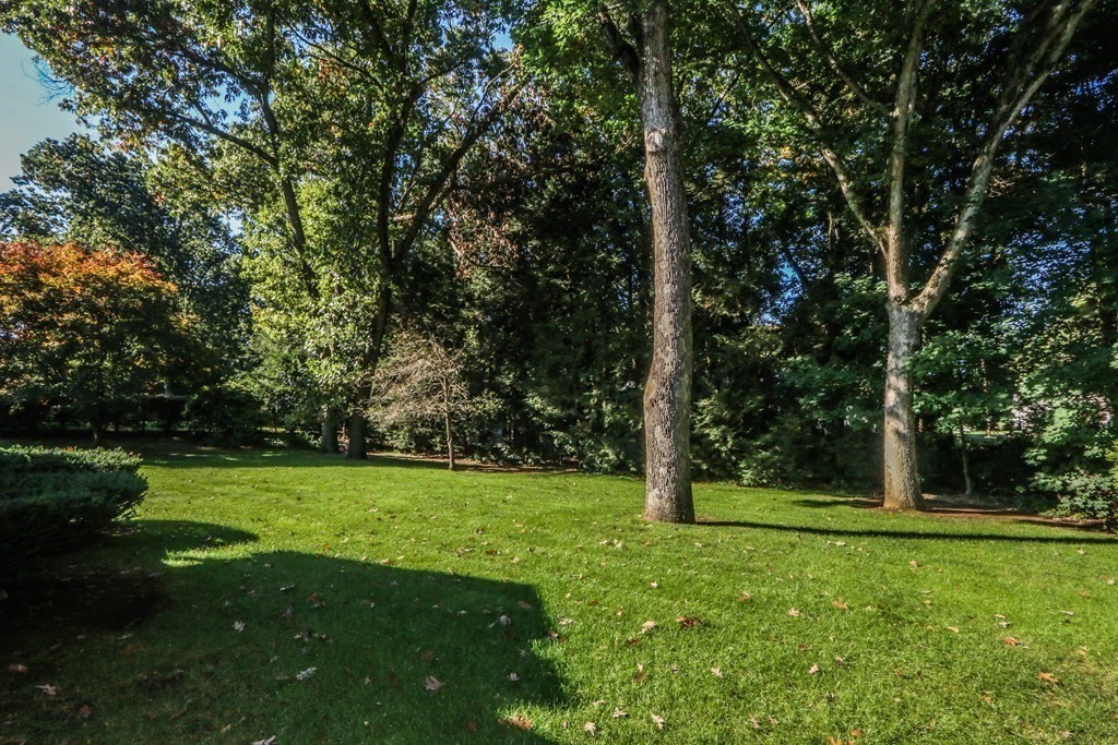58 Woodland Road Longmeadow, MA 01106 - Photo 7 of 11 Gallery Image 7