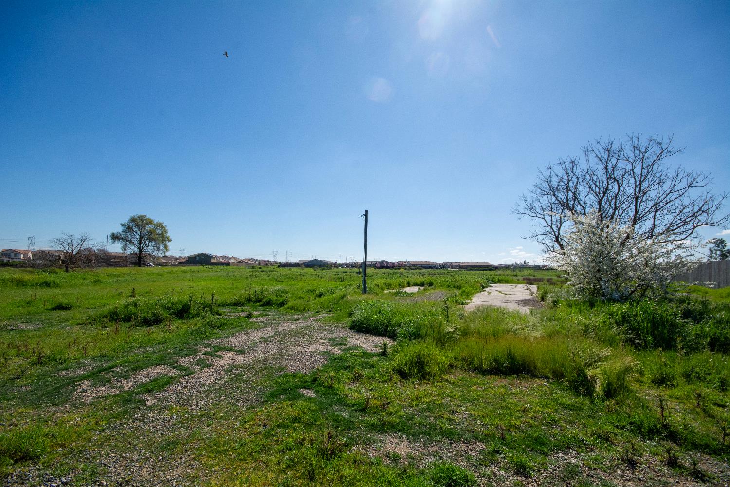 9216 Florin Road Sacramento, CA 95829 - Photo 13 of 15