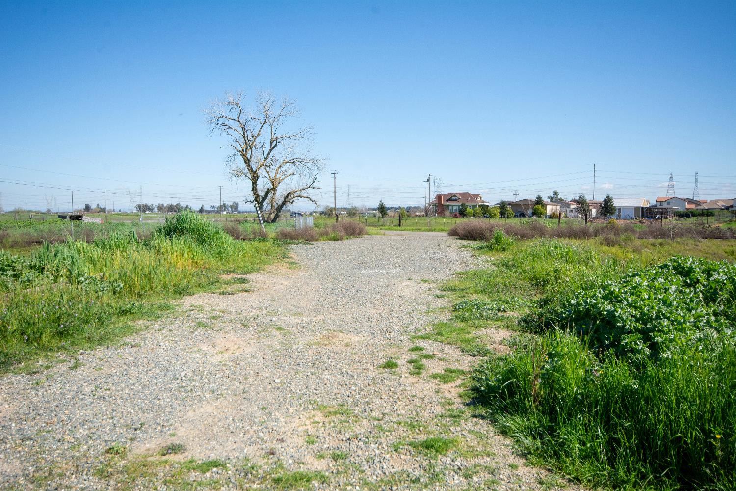 9216 Florin Road Sacramento, CA 95829 - Photo 3 of 15