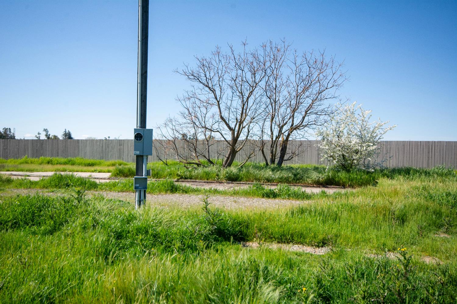 9216 Florin Road Sacramento, CA 95829 - Photo 6 of 15