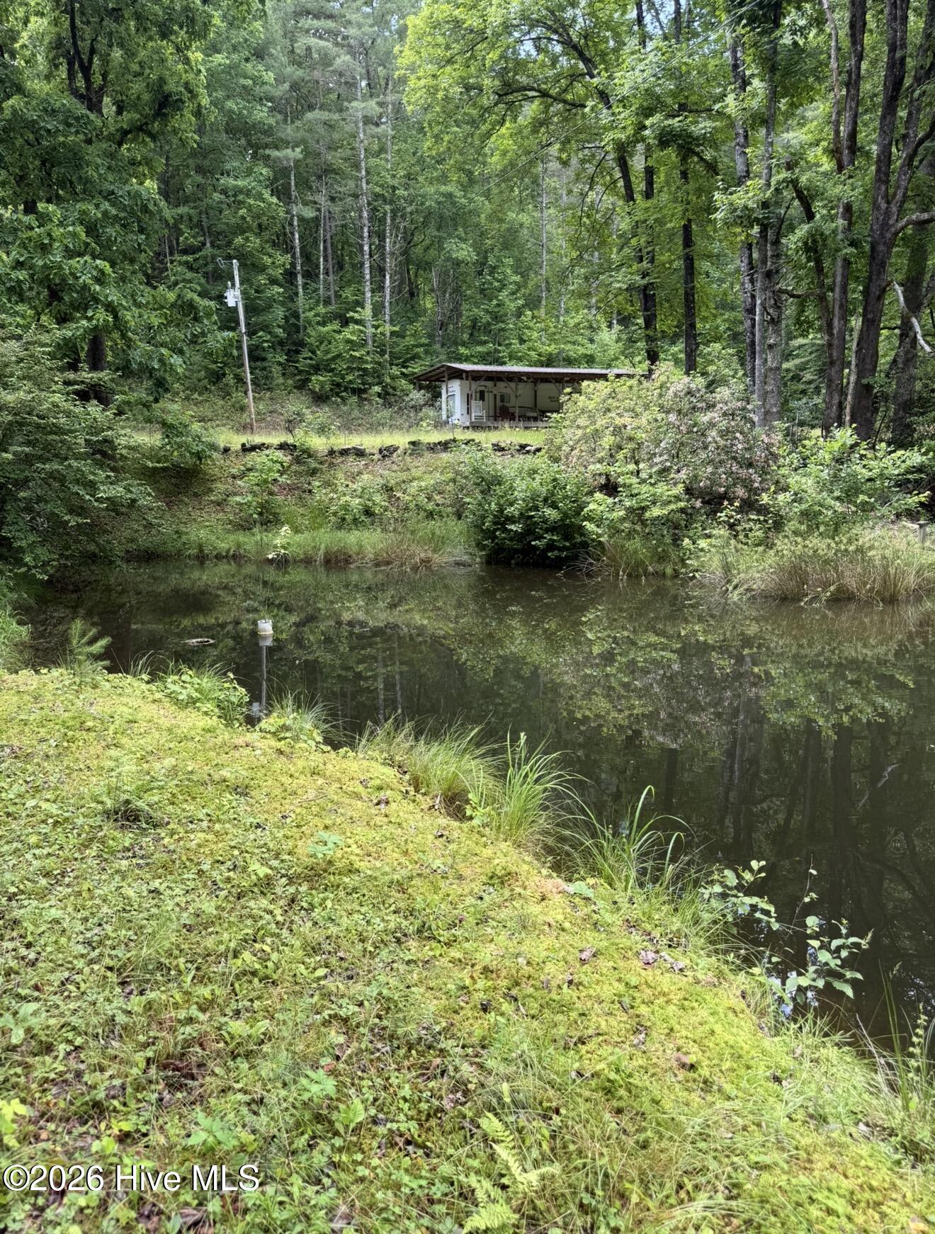 1234 Dockery Crk Road Murphy, NC 28906 - Photo 12 of 29
