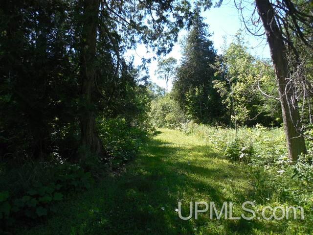Tbd Lac Labelle Road Lake Linden, MI 49945 - Photo 6 of 9
