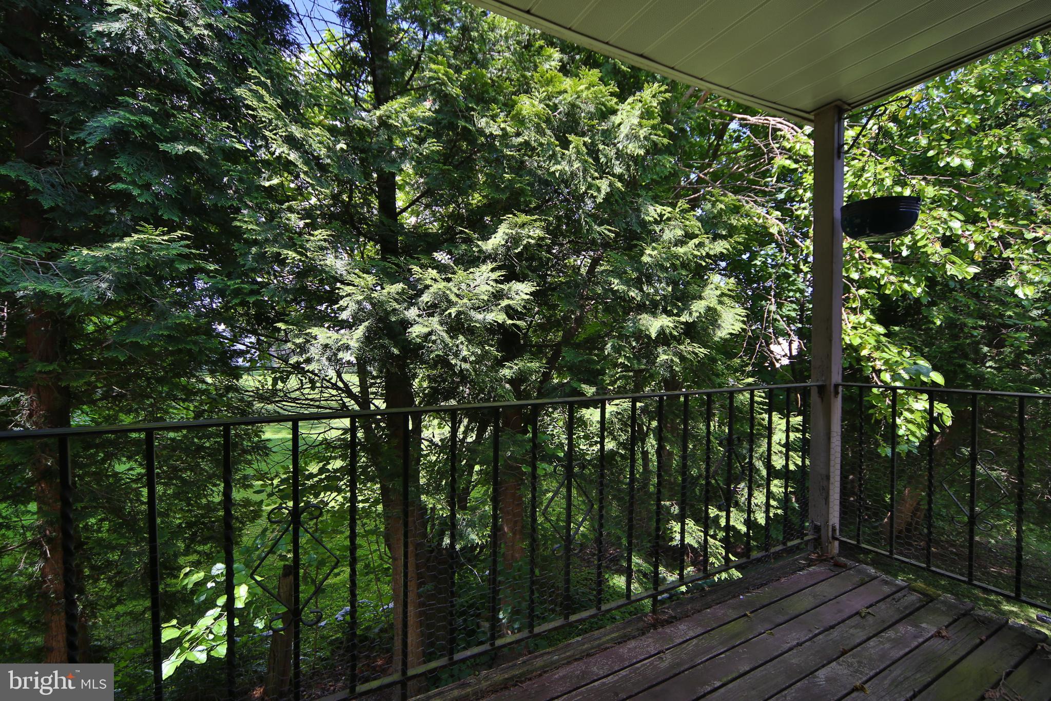103 Deep Run Road, Unit C4 Dublin, PA 18917 - Photo 14 of 15 Balcony
