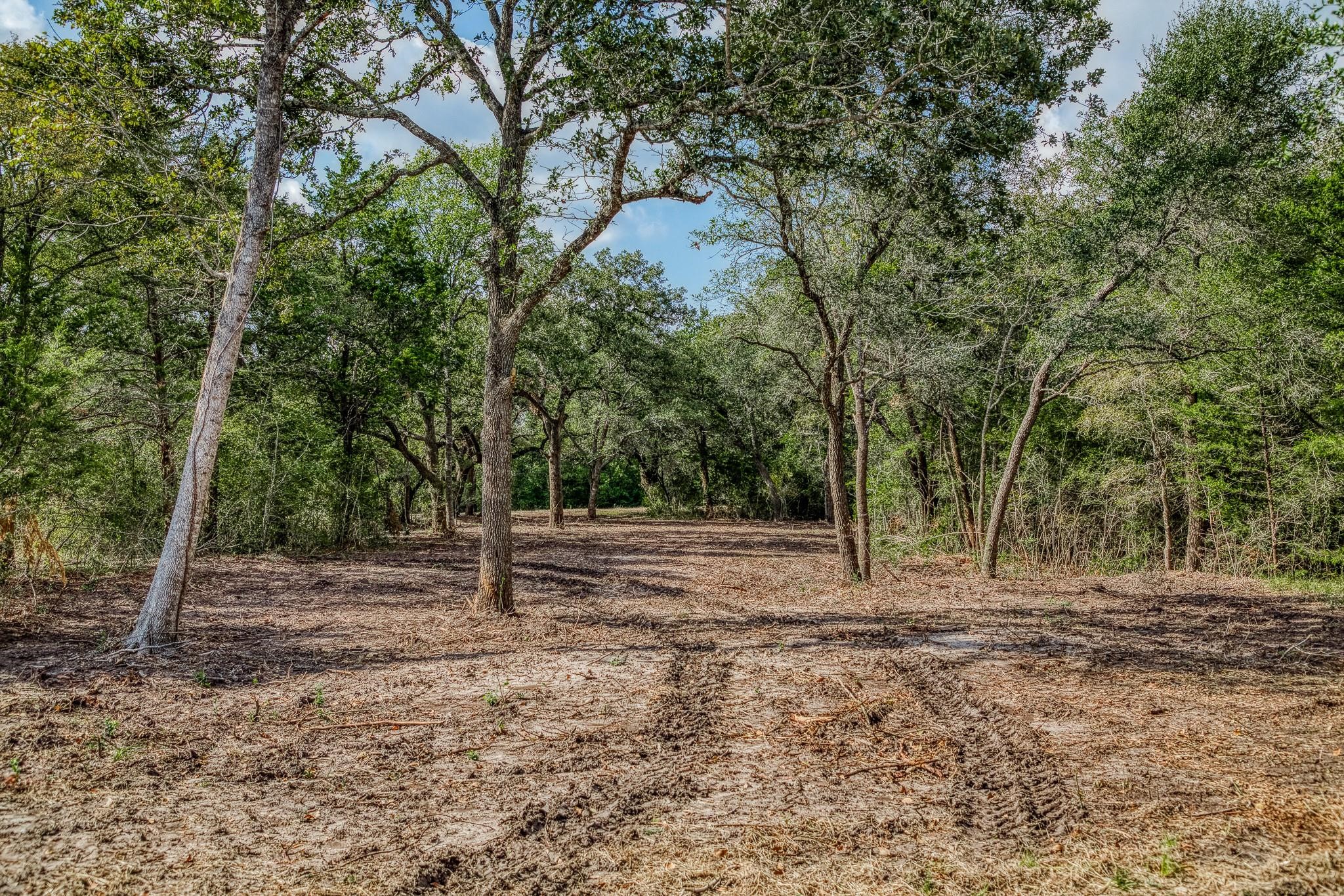 0 Sun Oil Road Brenham, TX 77833 - Photo 25 of 26 a backyard of a house with lots of trees