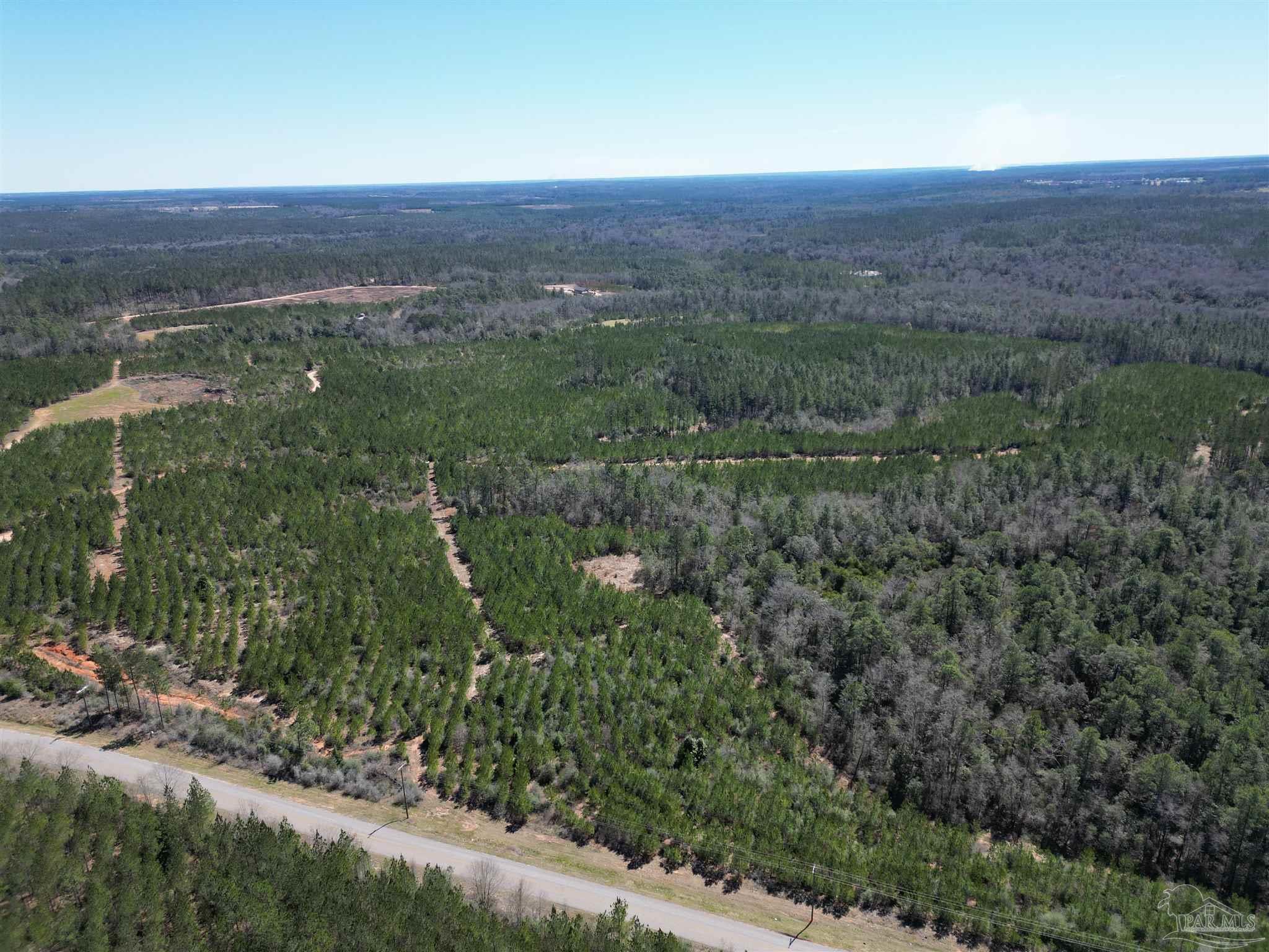 4 Robinsonville Road Atmore, AL 36502 - Photo 11 of 25 a view of city and mountain