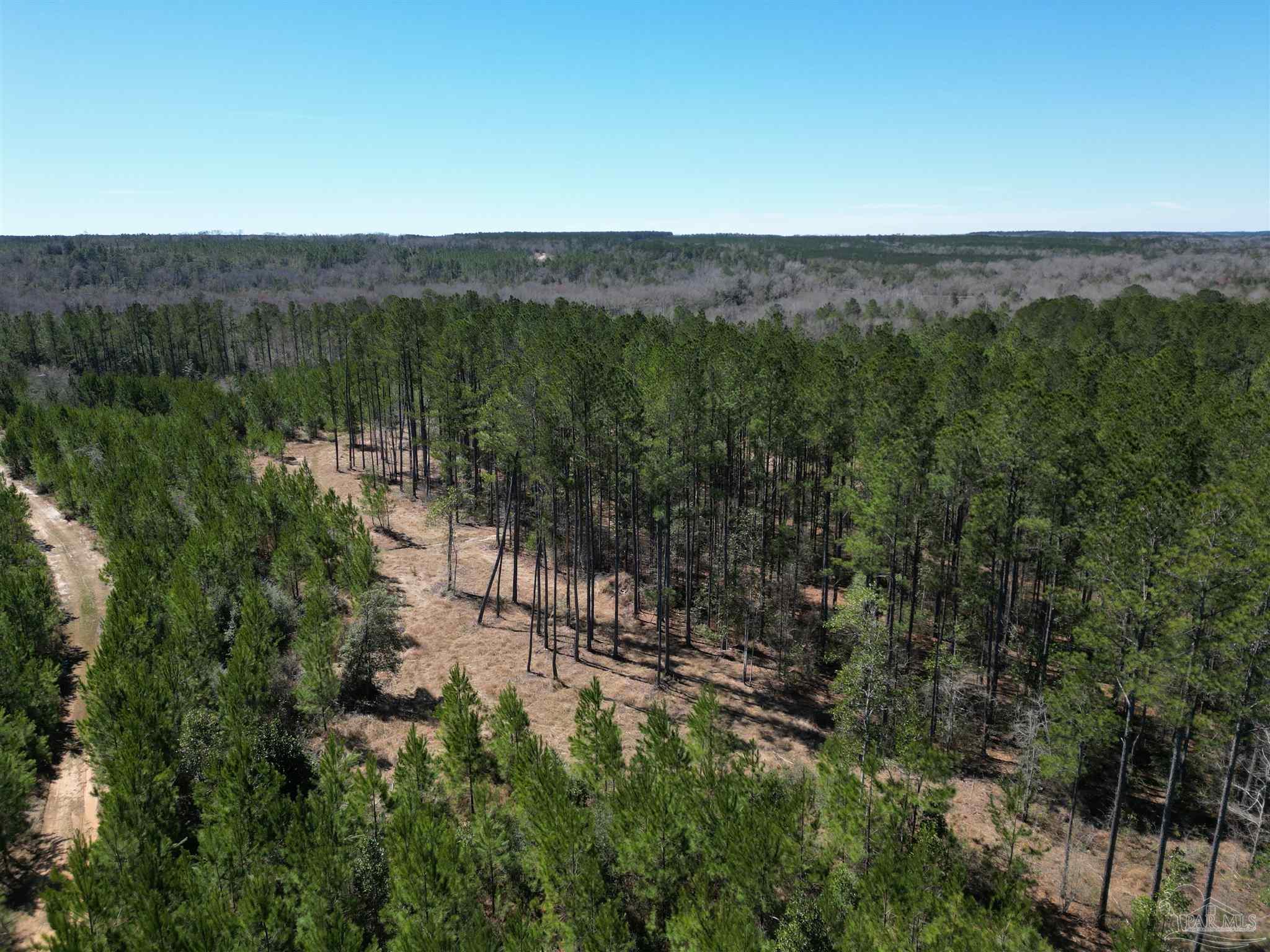 4 Robinsonville Road Atmore, AL 36502 - Photo 6 of 25 a view of a green field with lots of bushes