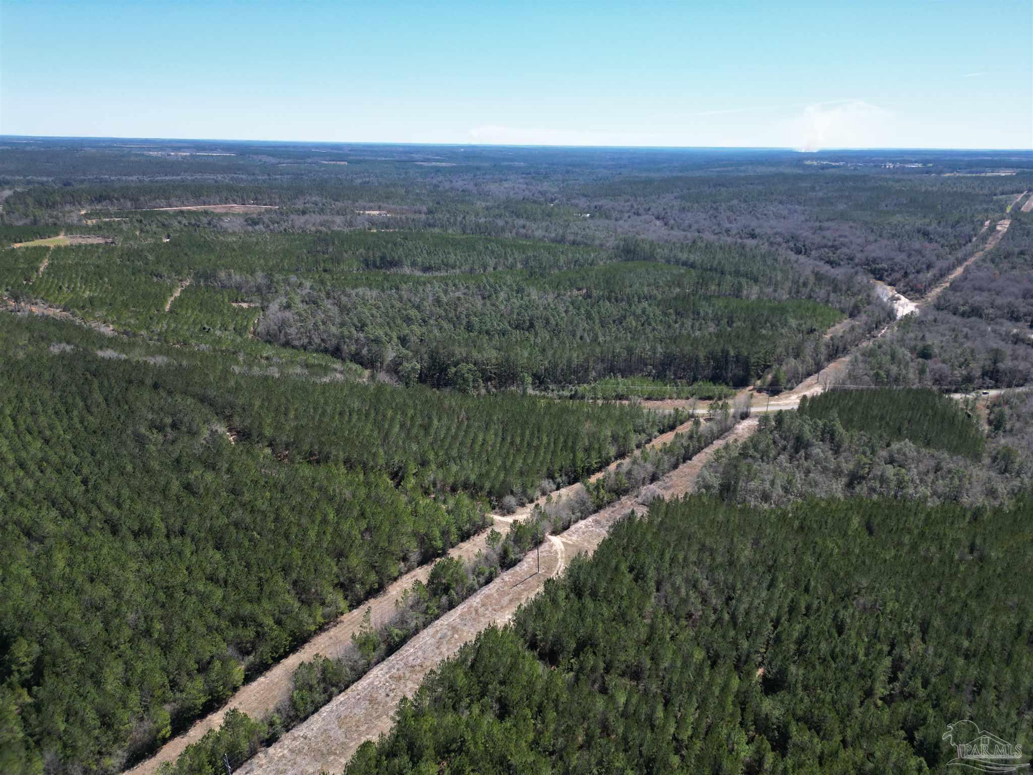 4 Robinsonville Road Atmore, AL 36502 - Photo 8 of 25 a view of a city with lush green forest