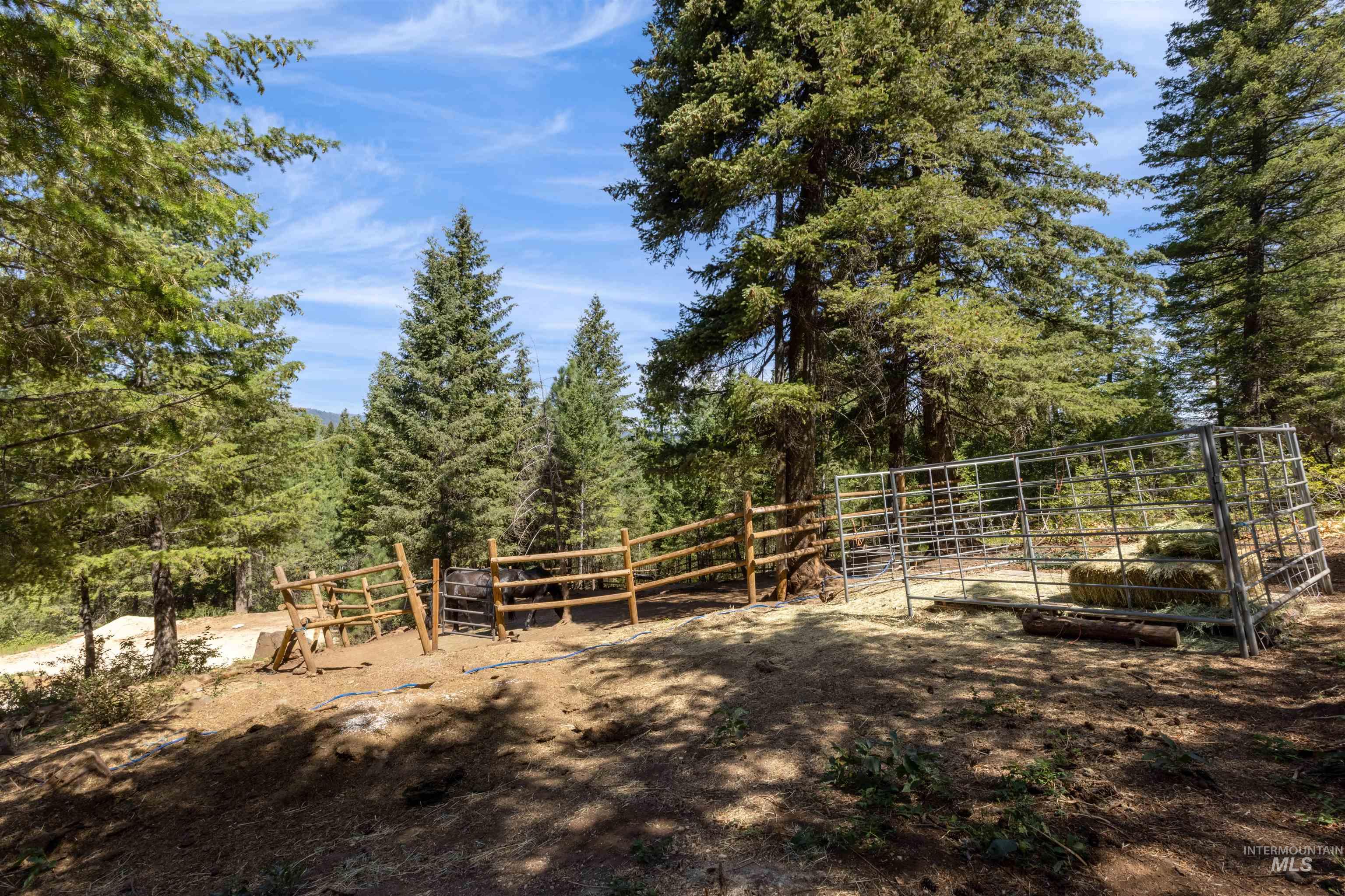 60 Highland Road Boise, ID 83716 - Photo 3 of 42 View of yard featuring a view of trees