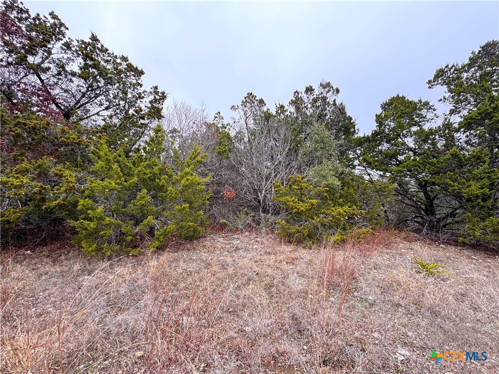 1021 Cliff Circle Spring Branch, TX 78070 - Photo 11 of 11 a backyard of a house with lots of green space