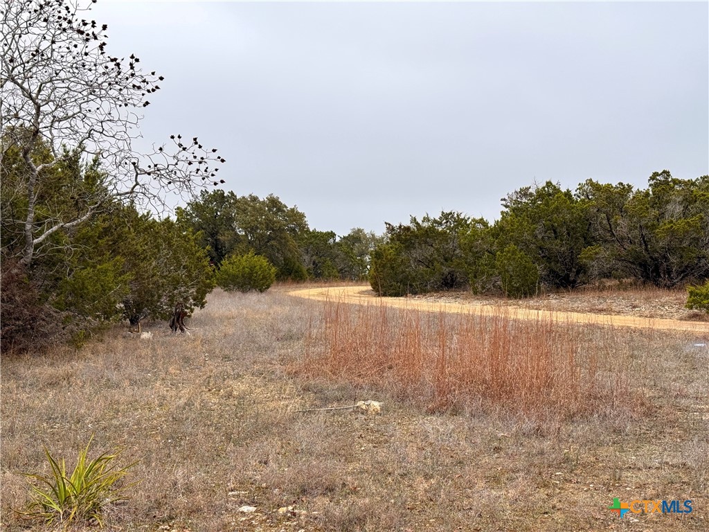 1021 Cliff Circle Spring Branch, TX 78070 - Photo 7 of 11 a view of lake view and mountain view