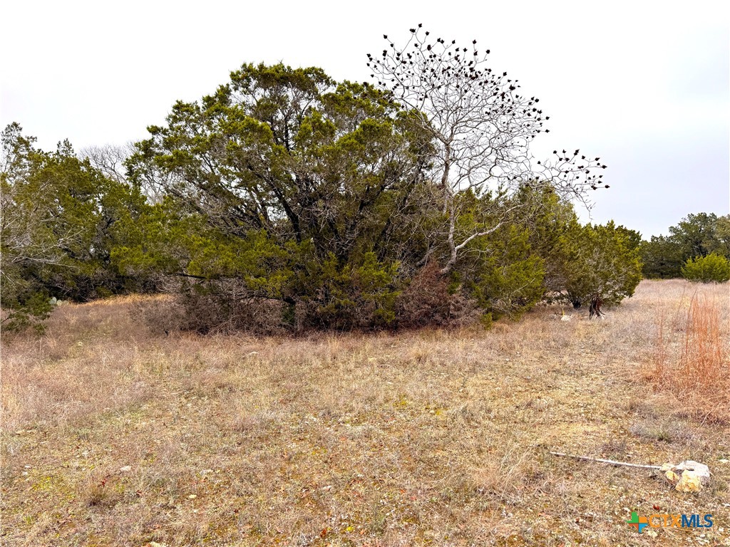 1021 Cliff Circle Spring Branch, TX 78070 - Photo 8 of 11 a view of a yard with a tree