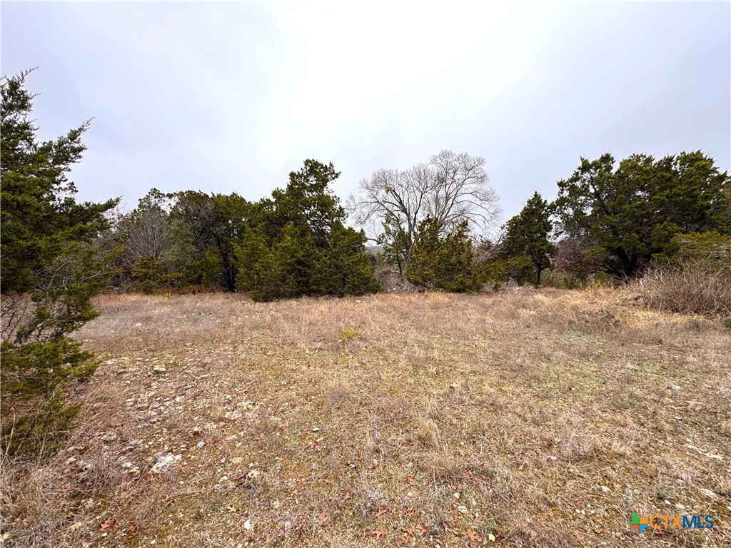 1021 Cliff Circle Spring Branch, TX 78070 - Photo 9 of 11 a view of a dry yard covered with snow in the background