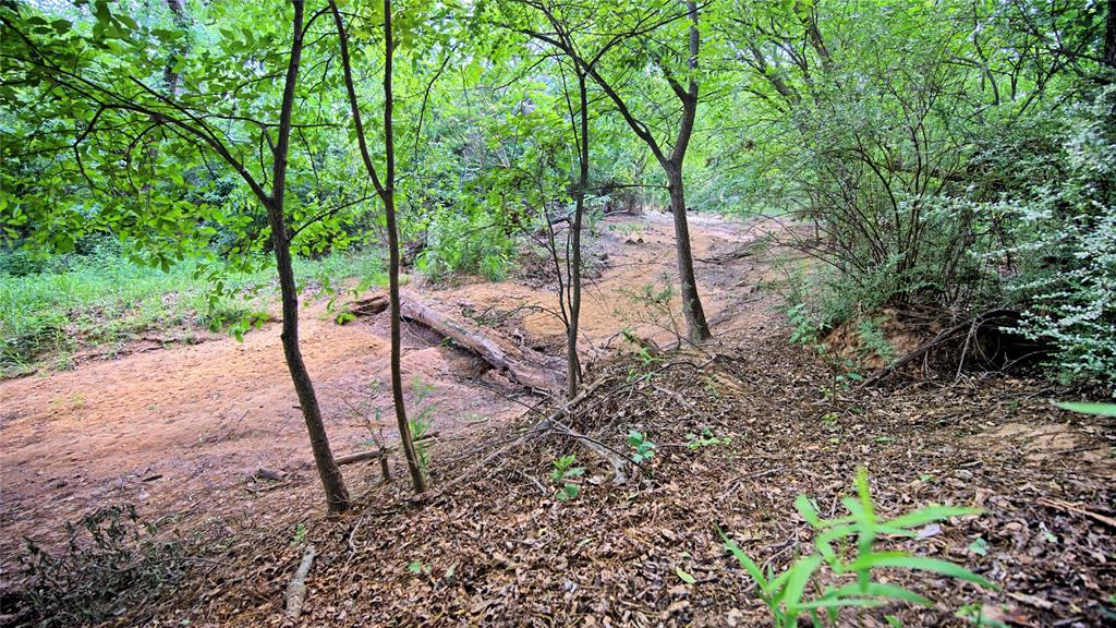 140 Elm Road Nocona, TX 76255 - Photo 21 of 26 a view of a back yard