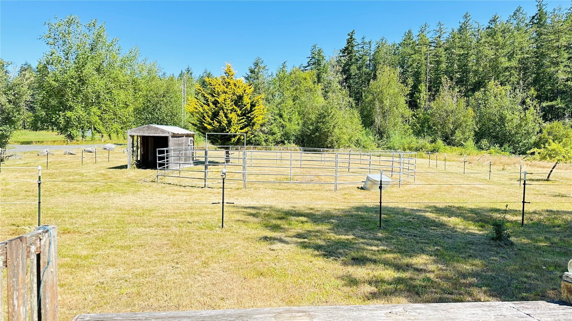 11 Michigan School Road East Sequim, WA 98382 - Photo 7 of 21