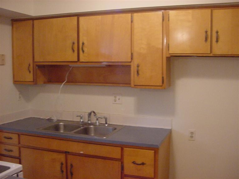 846 Honeysuckle Road Lexington, KY 40504 - Photo 6 of 20 Kitchen cabinets and sink areas